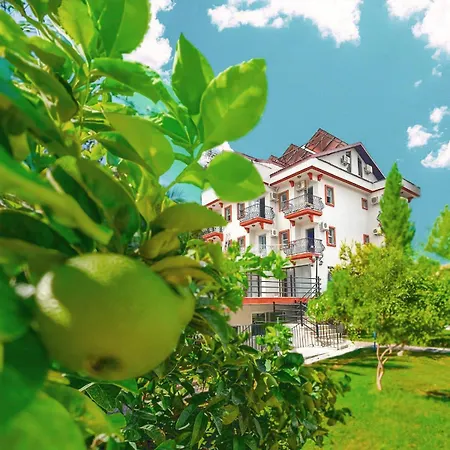 Casa De Levissi فندق 3*