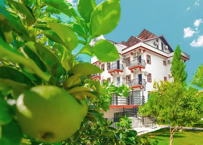 Casa De Levissi Hotell 3*